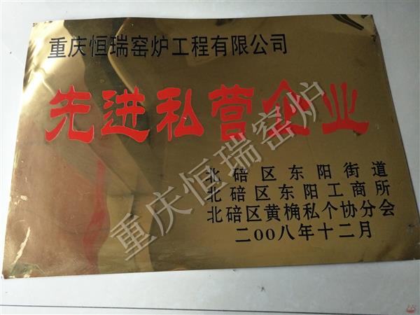 2008年先進私營企業(yè)